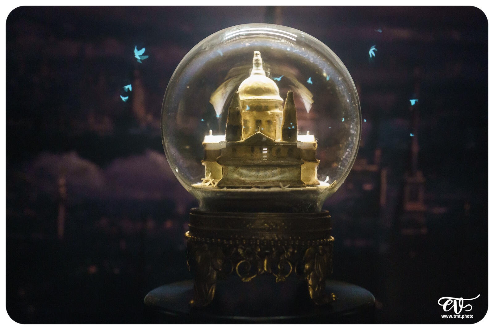 TMTPHOTO DISNEY100 030