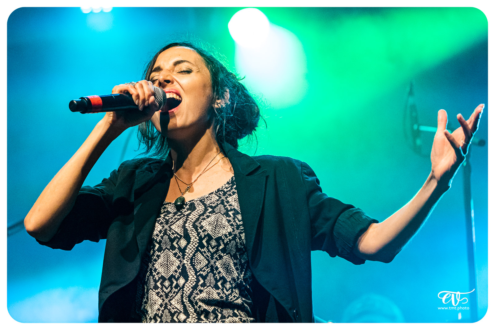 Tmtphoto switch 033 51574422958 o