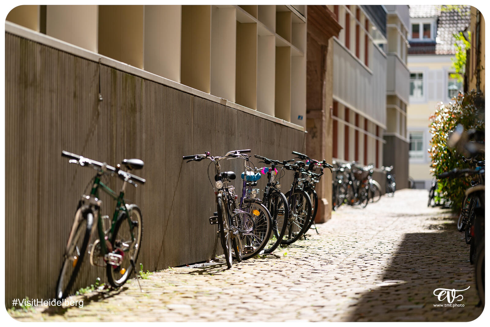 TMTPHOTO VISITHEIDELBERG 126