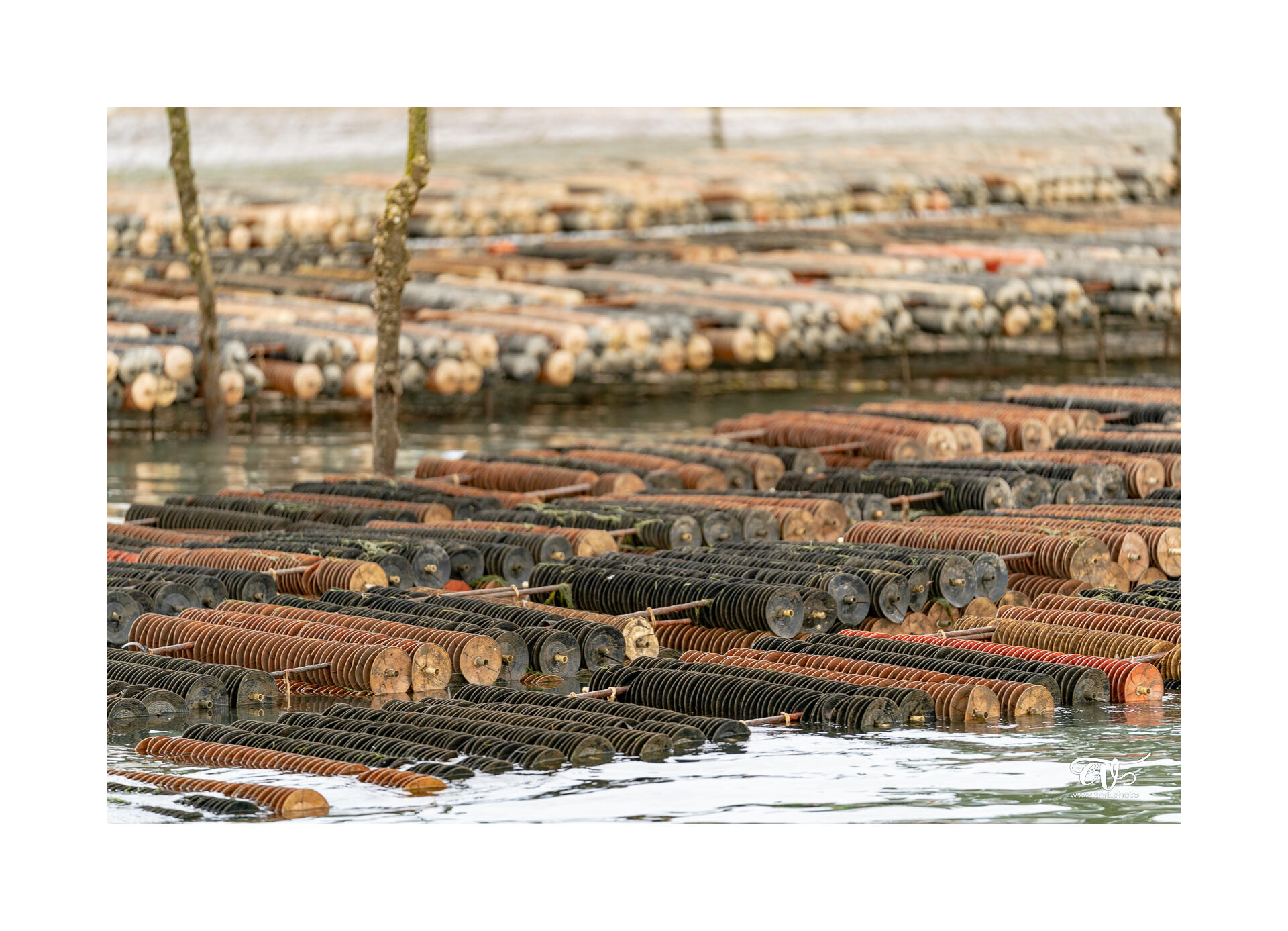 CARNET DE VOYAGES : BORDEAUX, ARCACHON