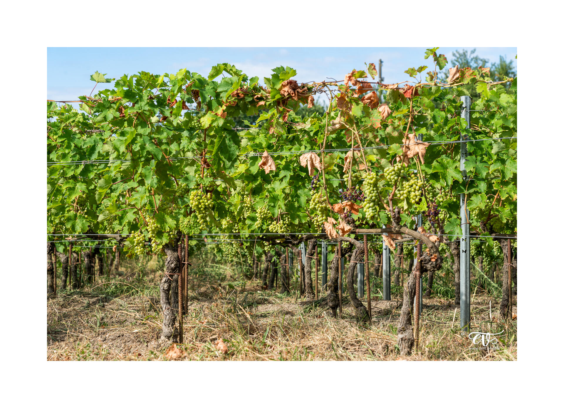 CARNET DE VOYAGES : BORDEAUX, ARCACHON