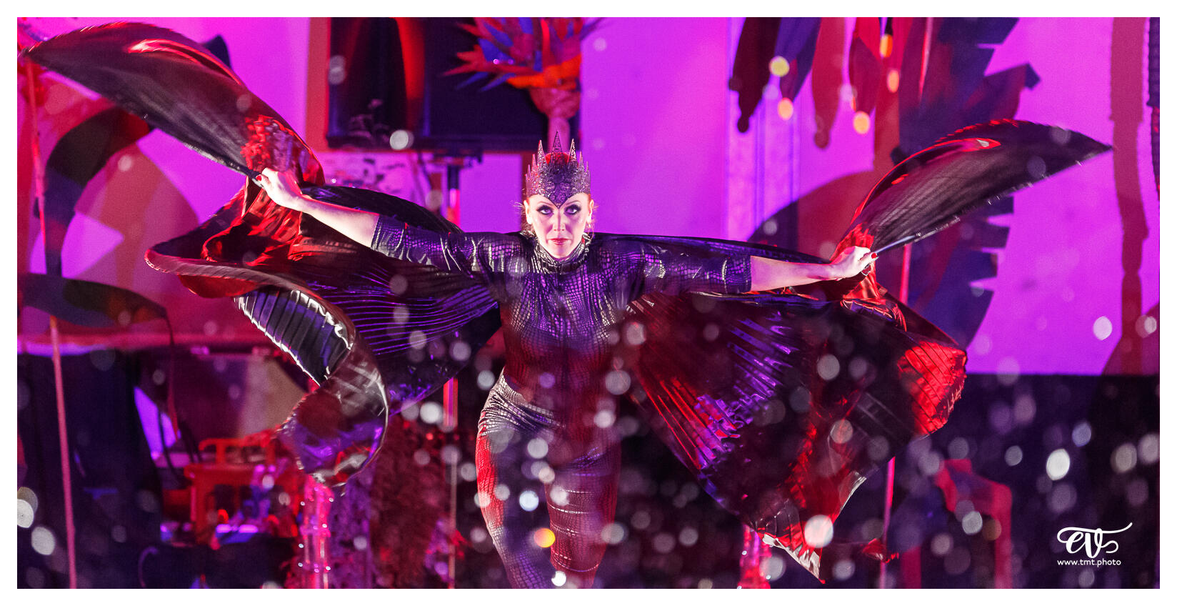 ILLUSIONS (BALLET NAUTIQUE DE STRASBOURG - BNS)