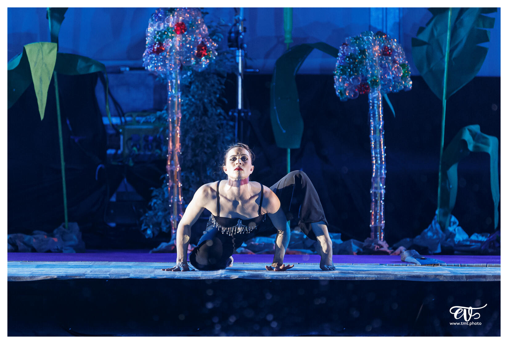 ILLUSIONS (BALLET NAUTIQUE DE STRASBOURG - BNS)