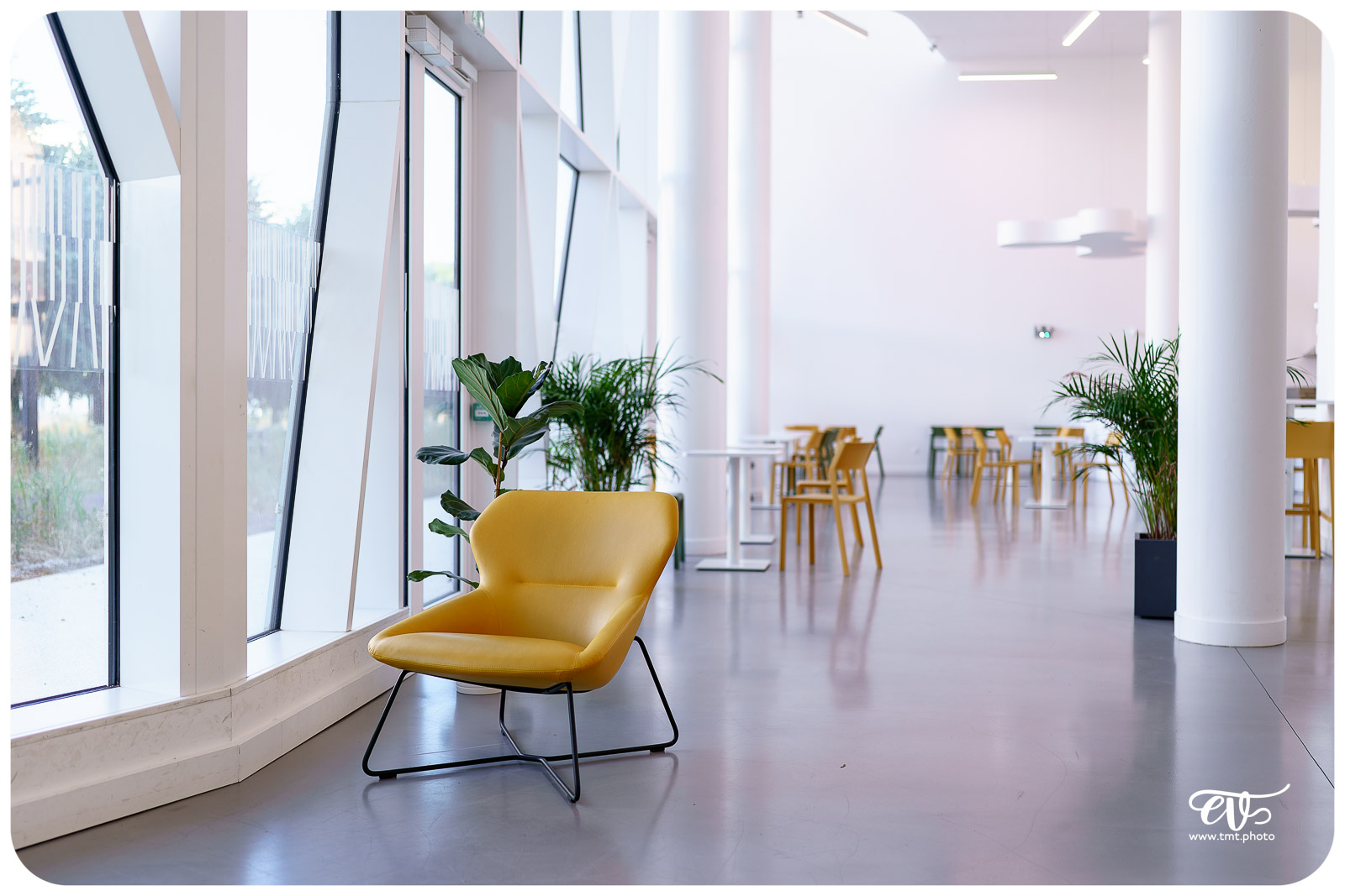 TWAPERO #32 AU STUDIUM