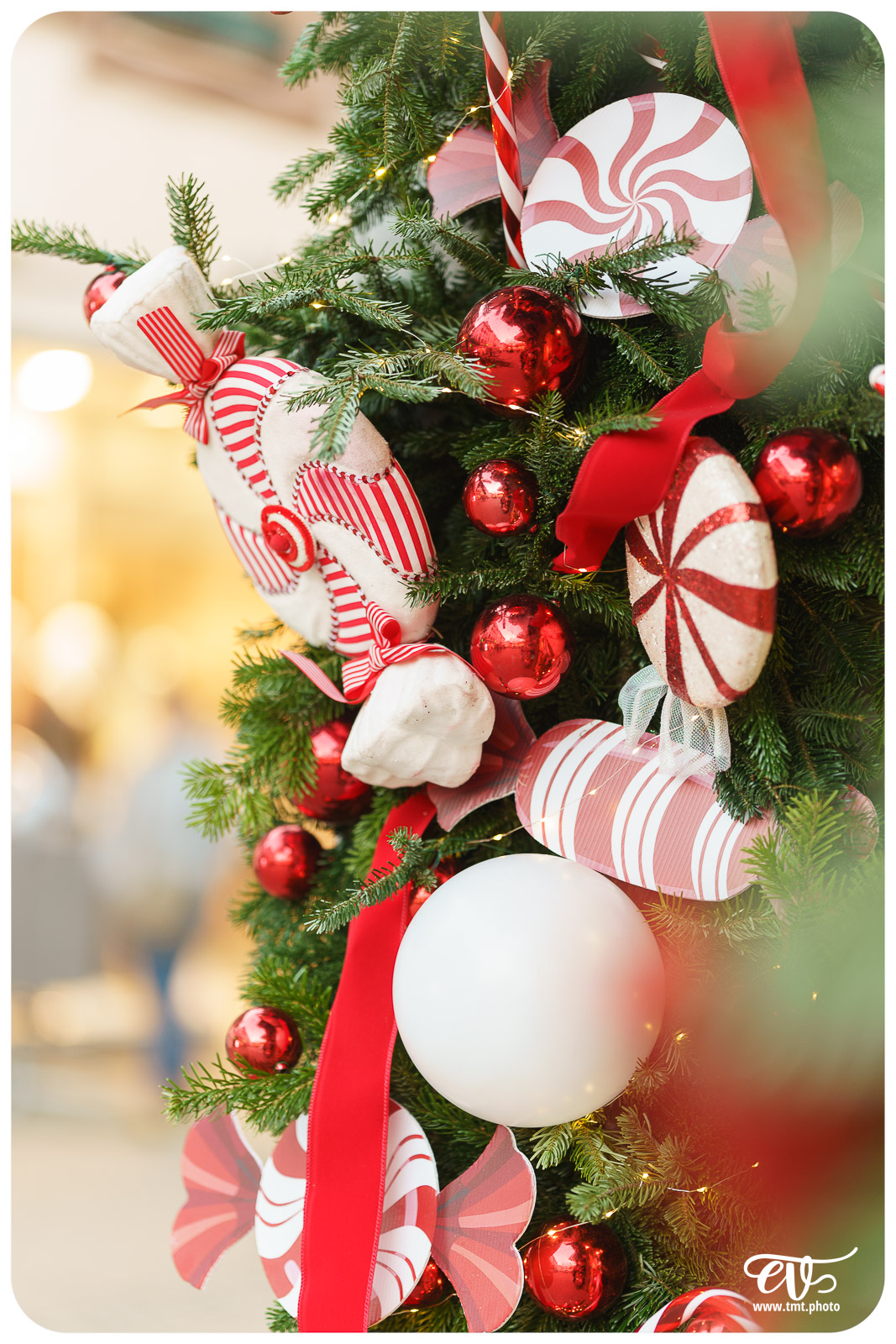 TMTPHOTO HAGUENOËL2024 030