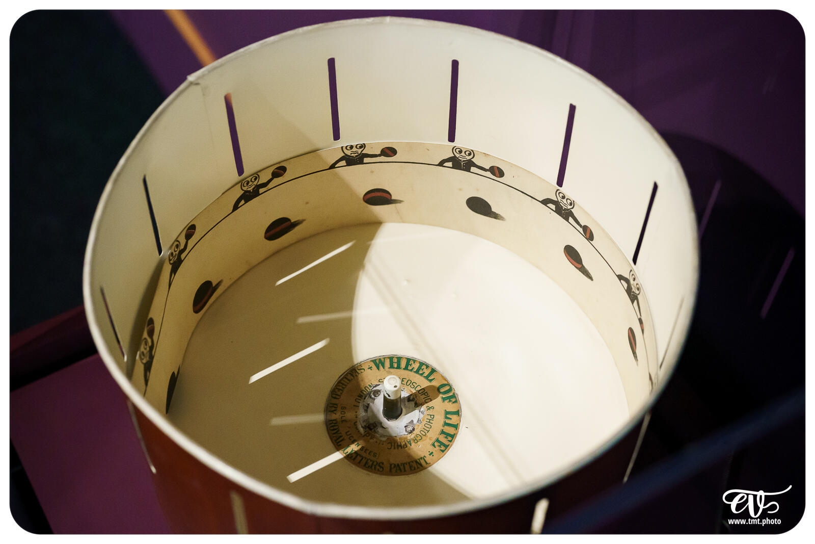 TMTPHOTO DISNEY100 011