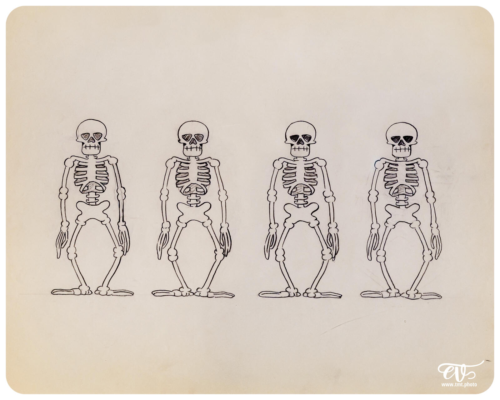 TMTPHOTO DISNEY100 014