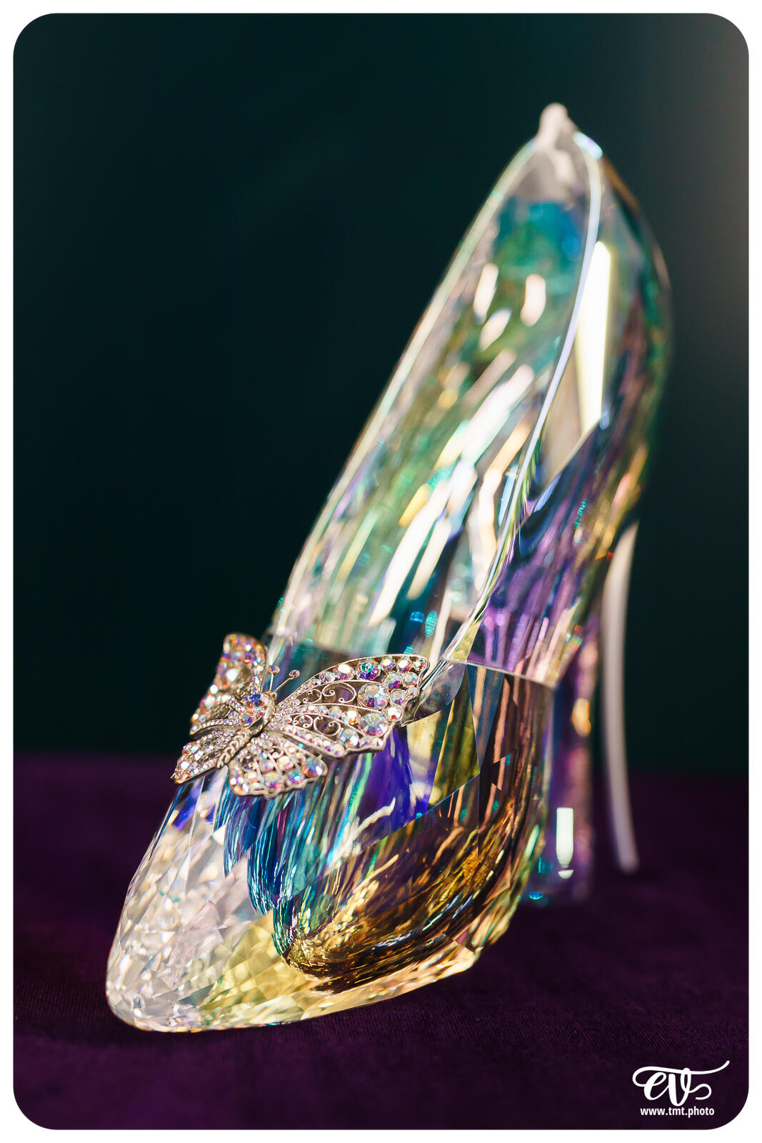 TMTPHOTO DISNEY100 018