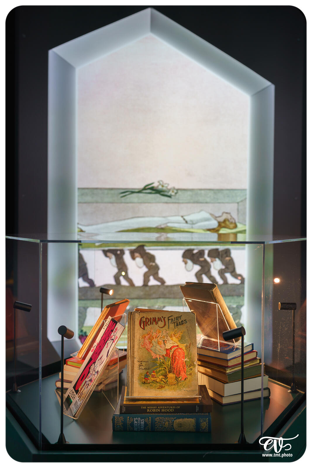 TMTPHOTO DISNEY100 020