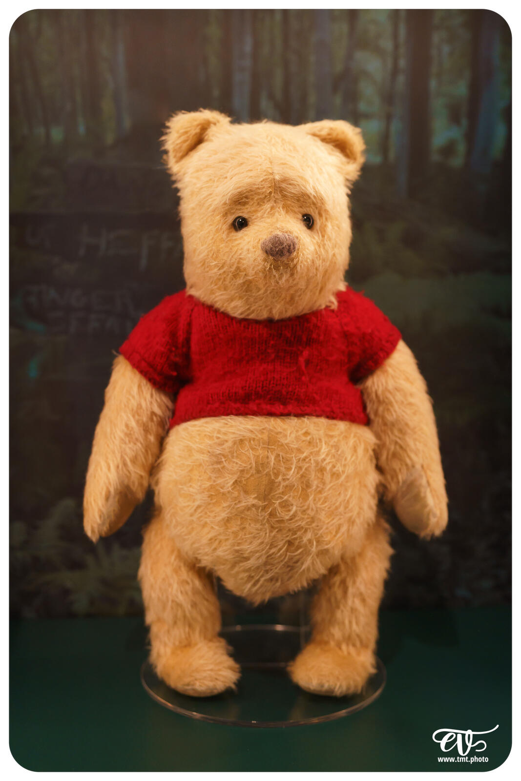 TMTPHOTO DISNEY100 022