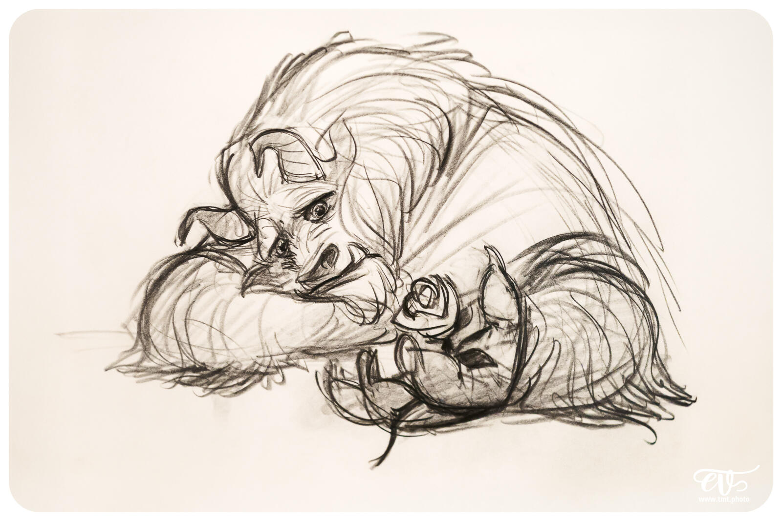 TMTPHOTO DISNEY100 025