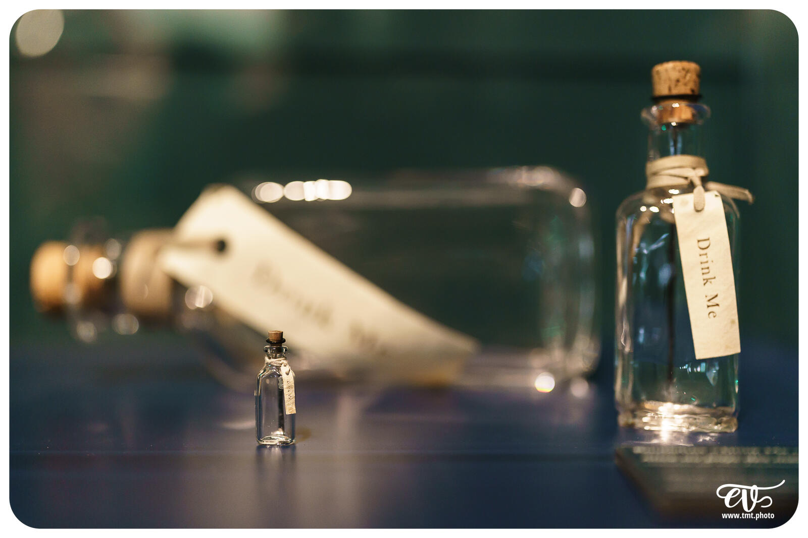 TMTPHOTO DISNEY100 034