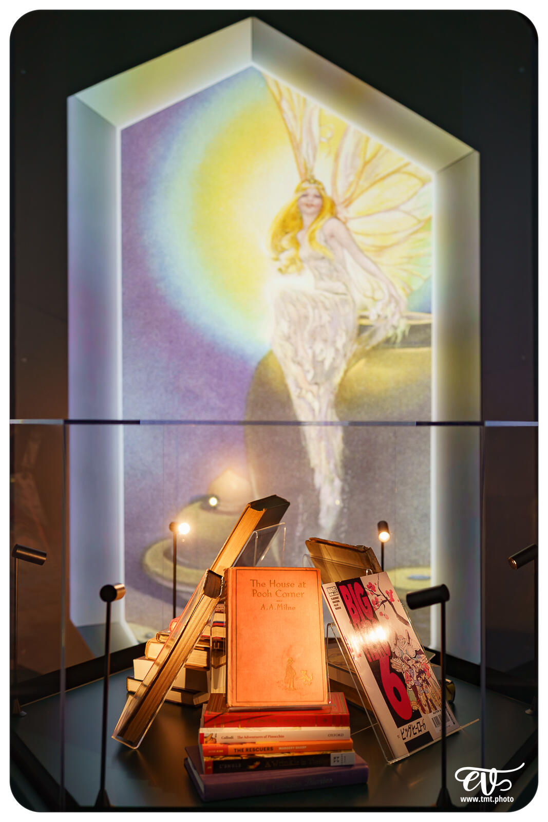 TMTPHOTO DISNEY100 038