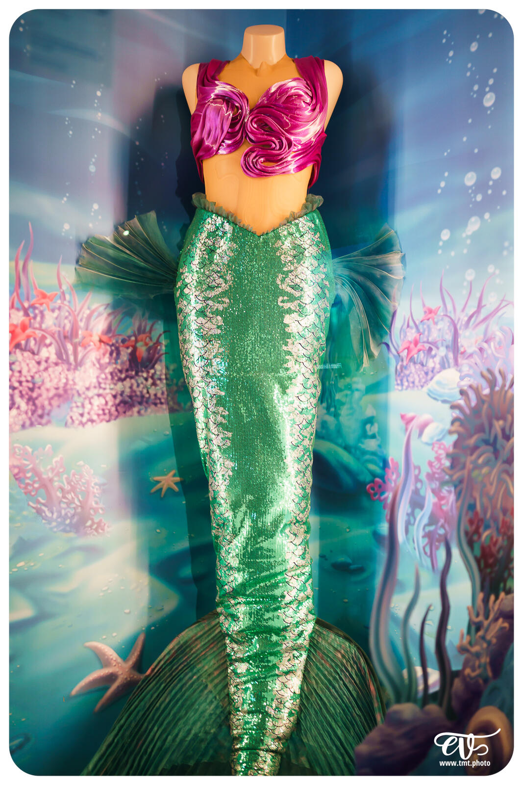 TMTPHOTO DISNEY100 050