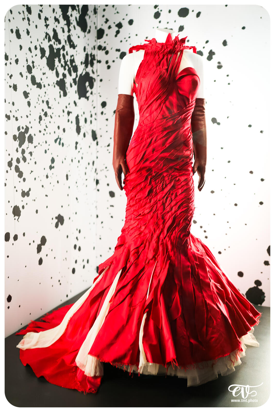 TMTPHOTO DISNEY100 053