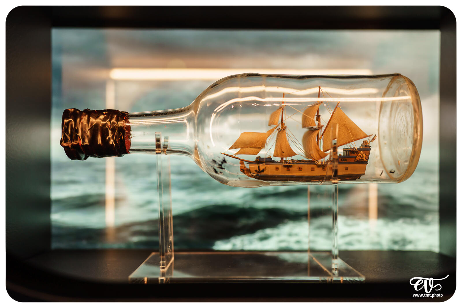 TMTPHOTO DISNEY100 065