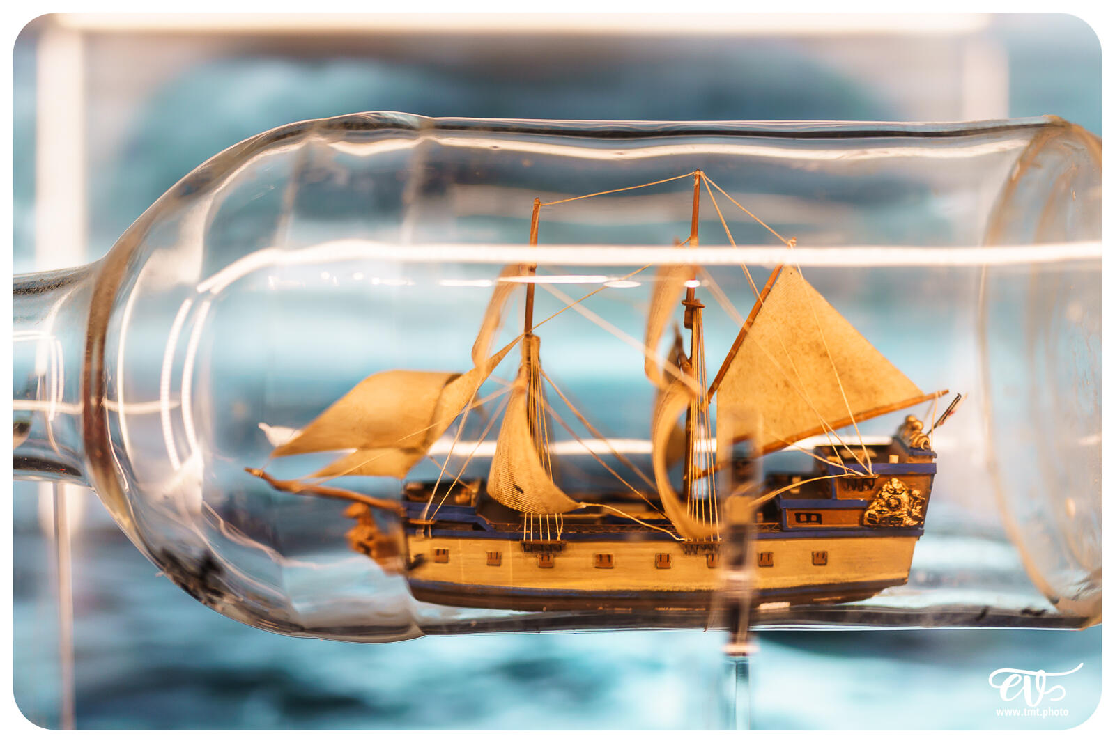 TMTPHOTO DISNEY100 066