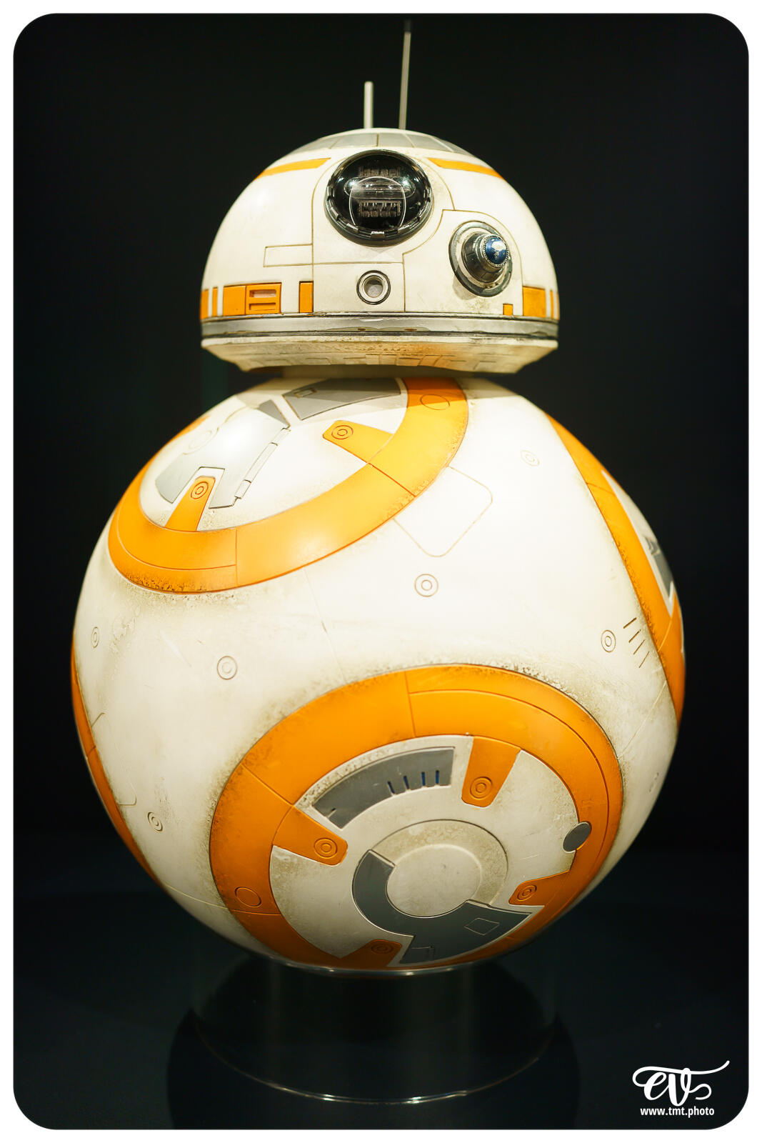 TMTPHOTO DISNEY100 073