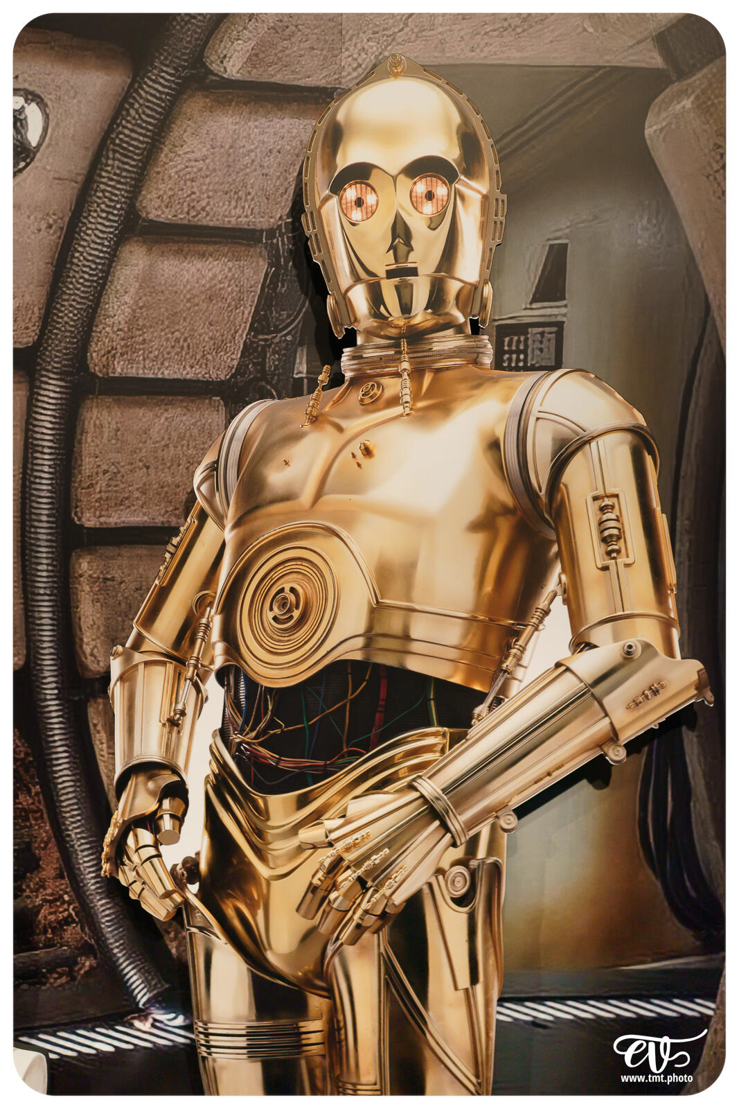 TMTPHOTO DISNEY100 077