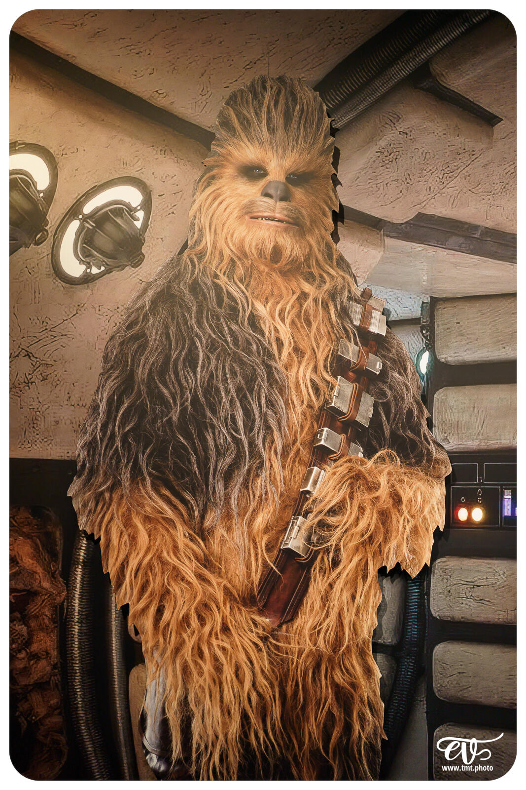 TMTPHOTO DISNEY100 078