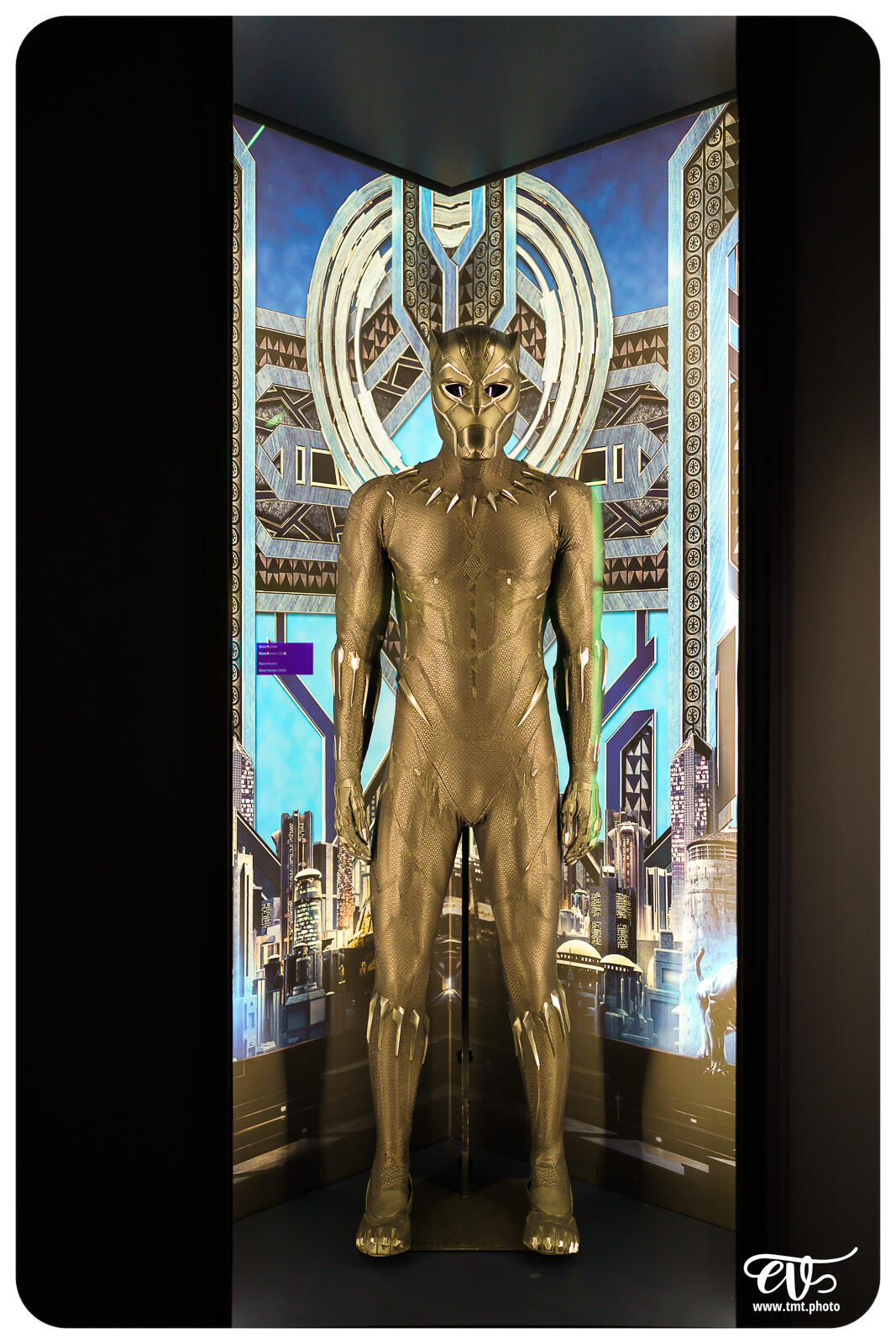 TMTPHOTO DISNEY100 085