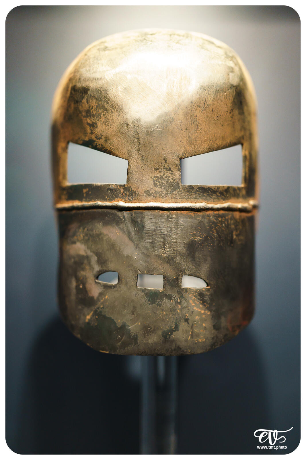 TMTPHOTO DISNEY100 090