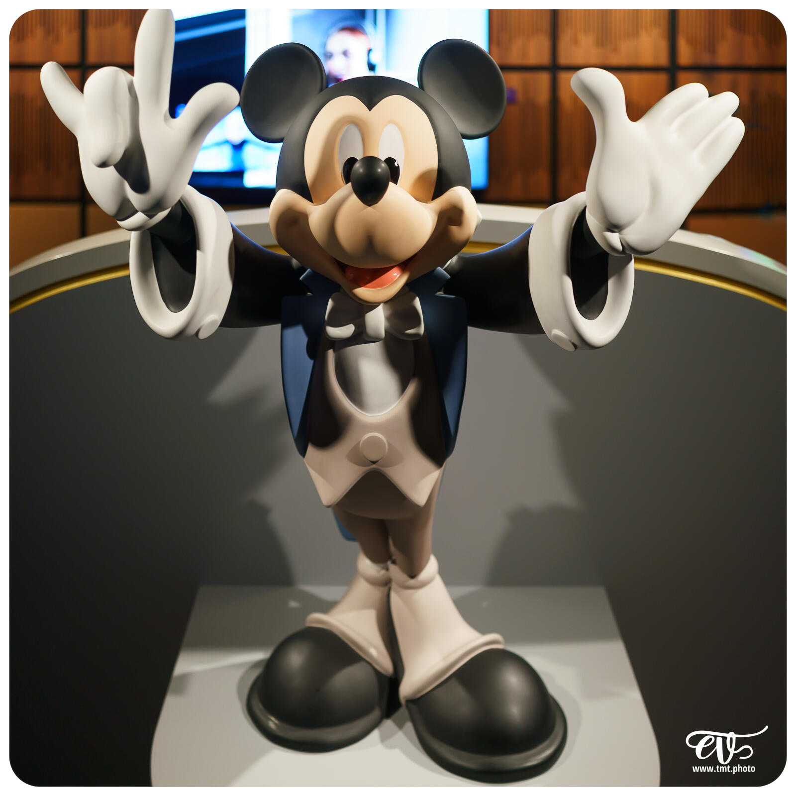 TMTPHOTO DISNEY100 097