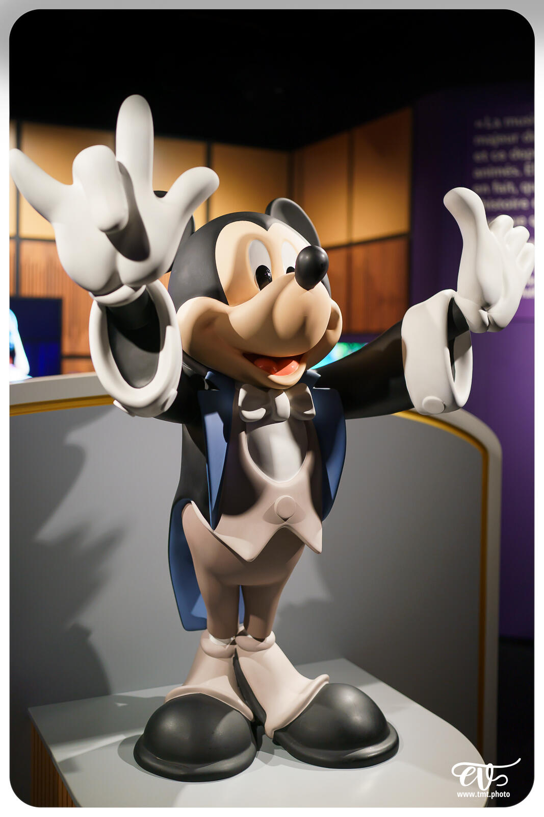 TMTPHOTO DISNEY100 098