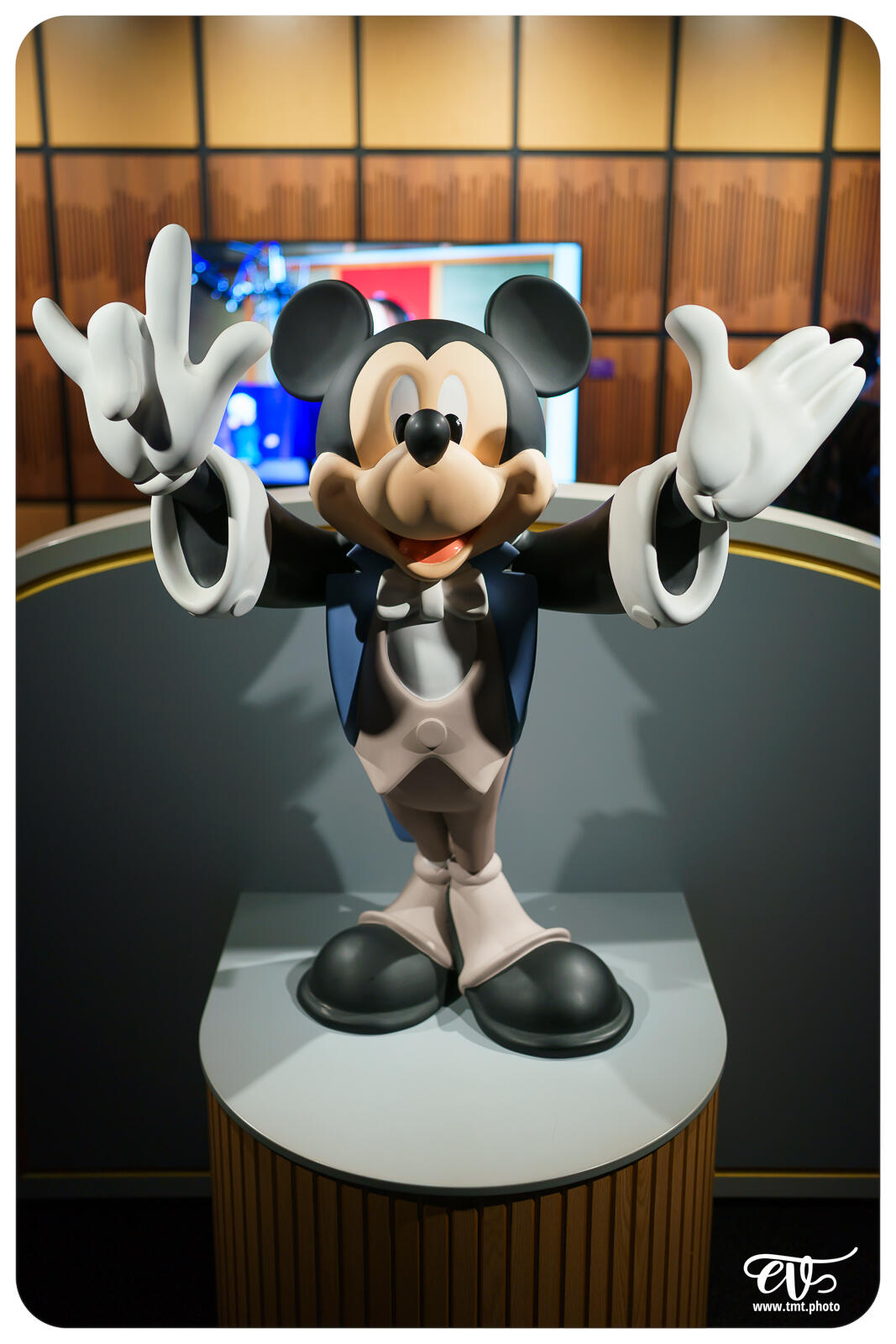 TMTPHOTO DISNEY100 099