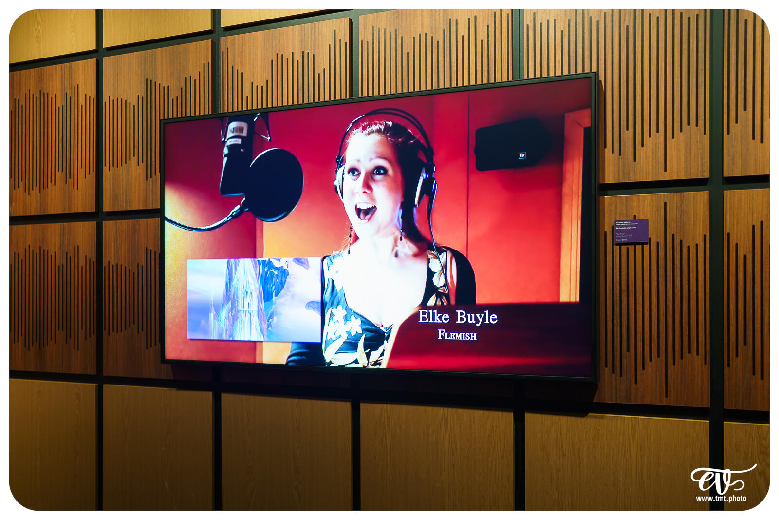 TMTPHOTO DISNEY100 100