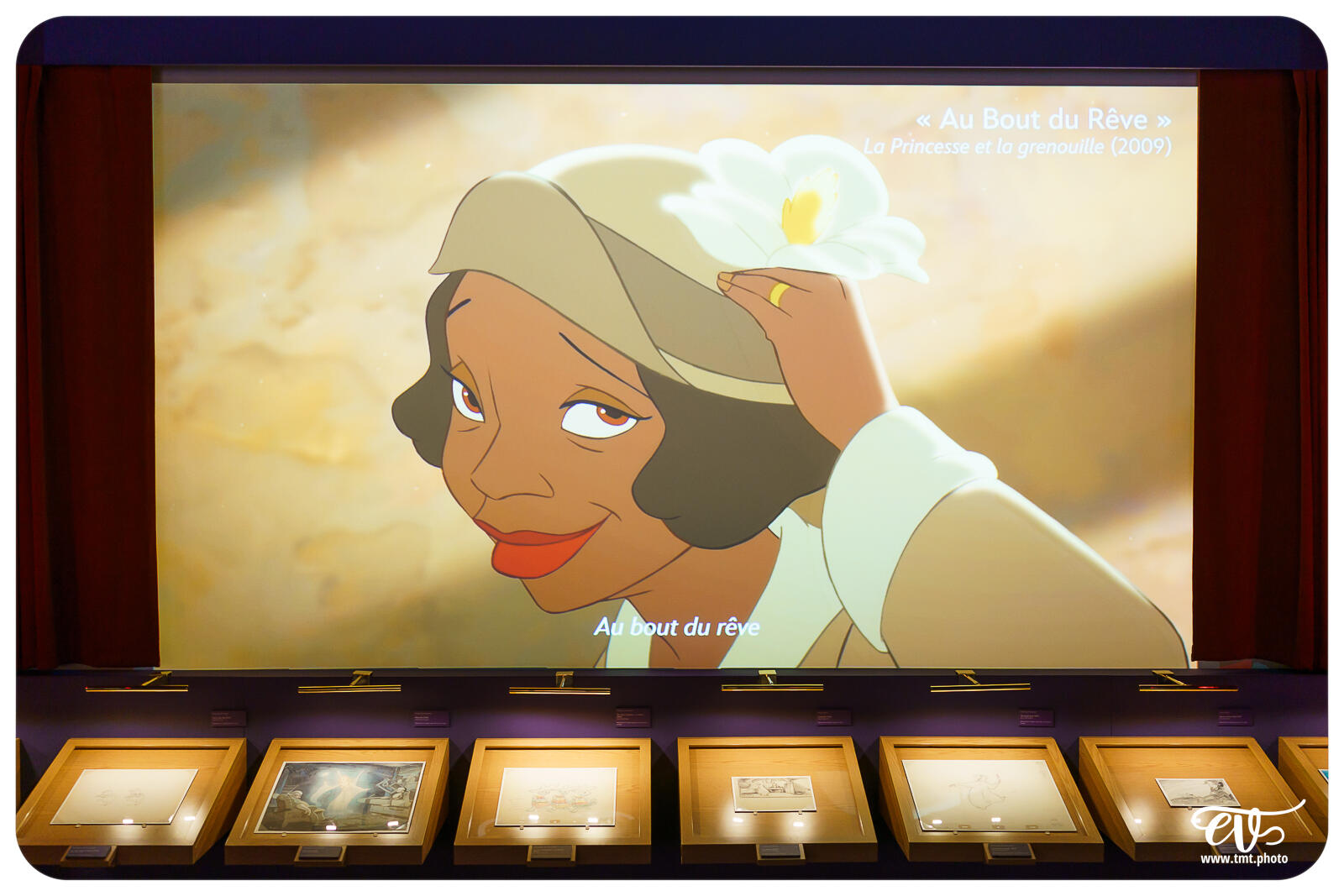 TMTPHOTO DISNEY100 103