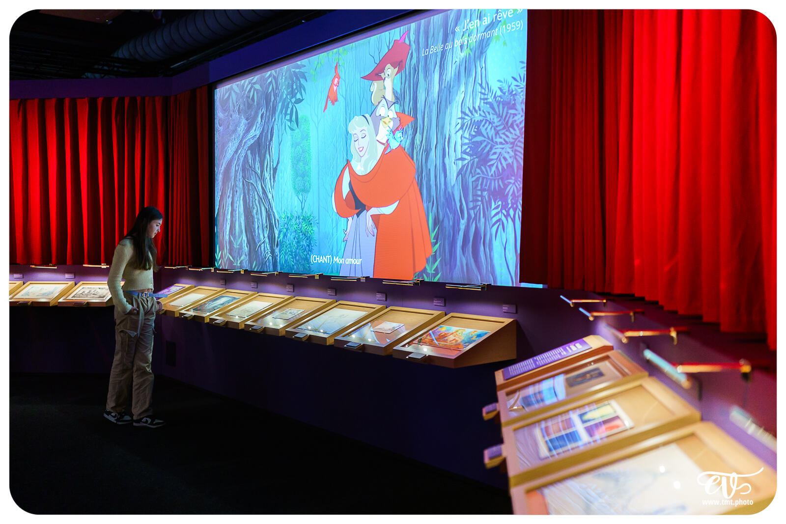 TMTPHOTO DISNEY100 106