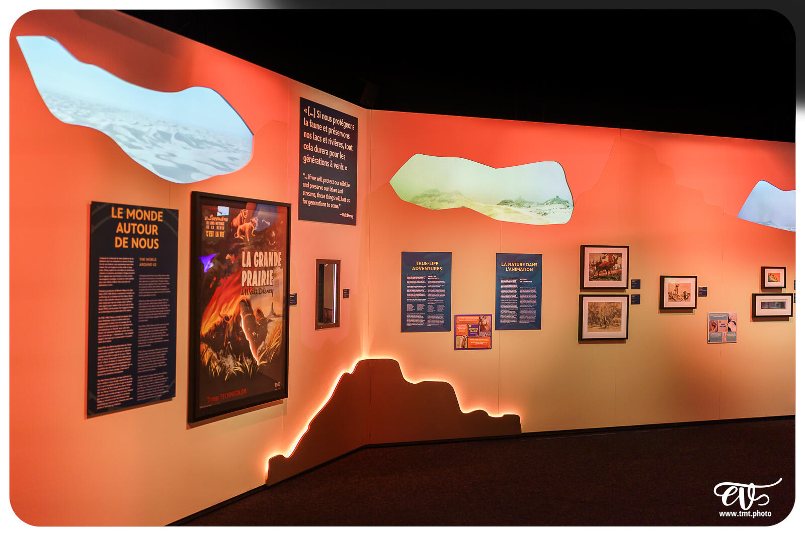 TMTPHOTO DISNEY100 108