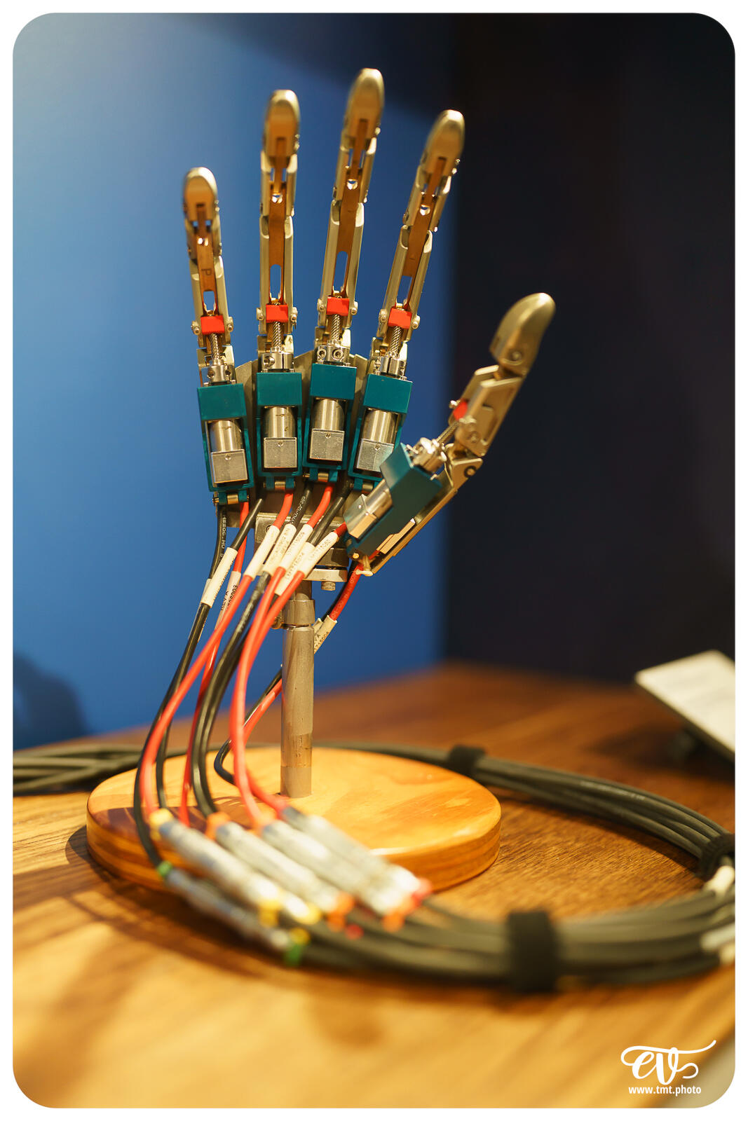 TMTPHOTO DISNEY100 119