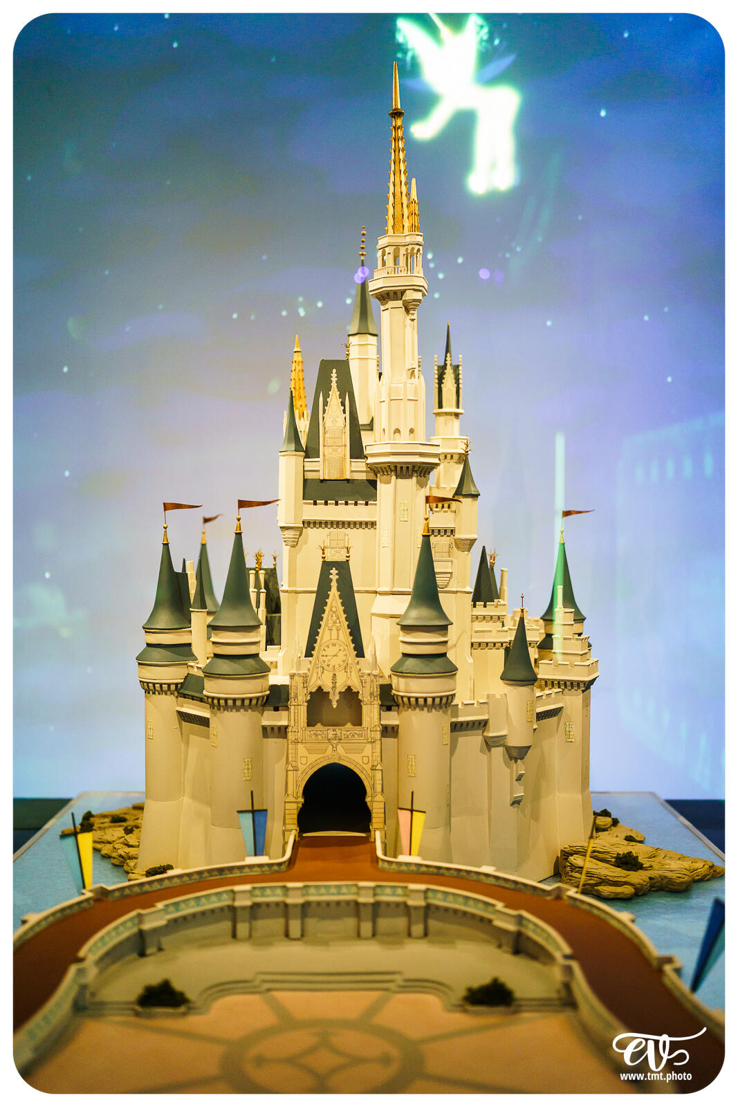 TMTPHOTO DISNEY100 130