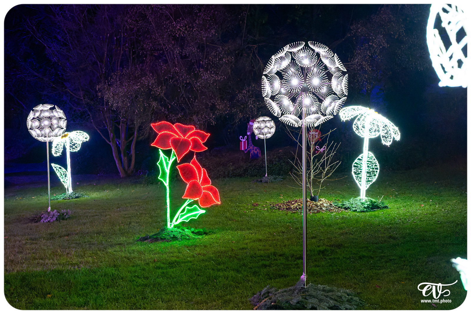 SCHWEIGHOUSE-SUR-MODER