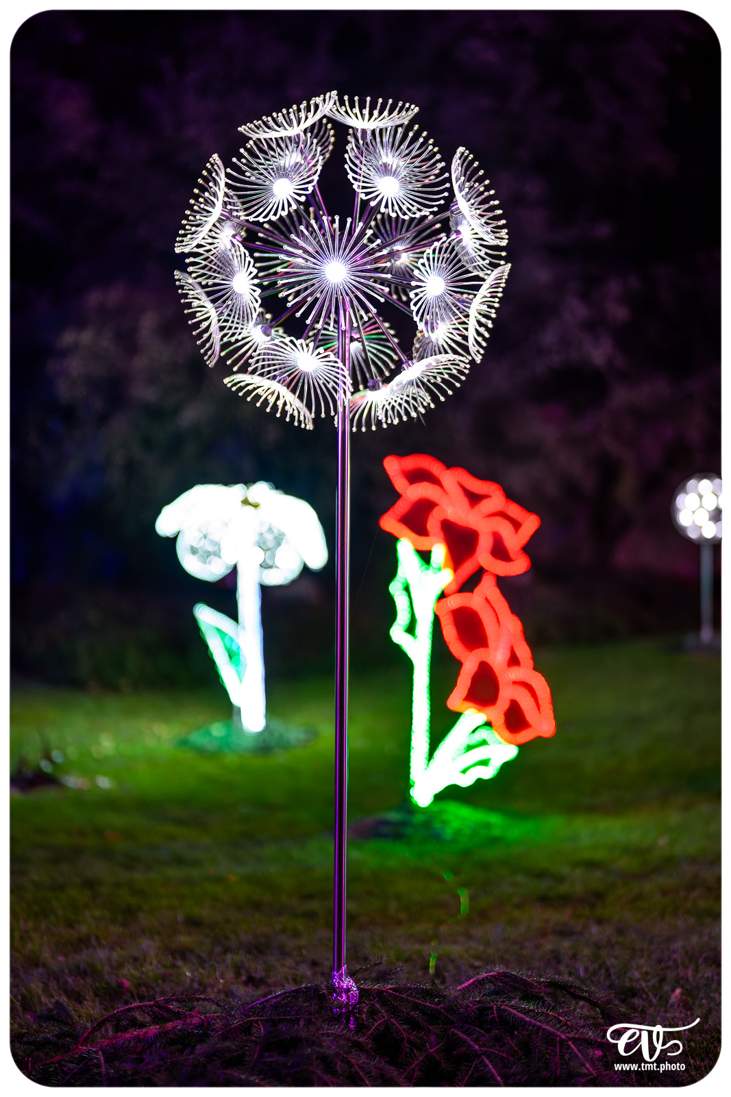 SCHWEIGHOUSE-SUR-MODER