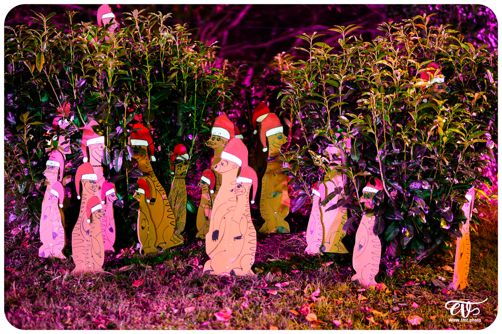 SCHWEIGHOUSE-SUR-MODER