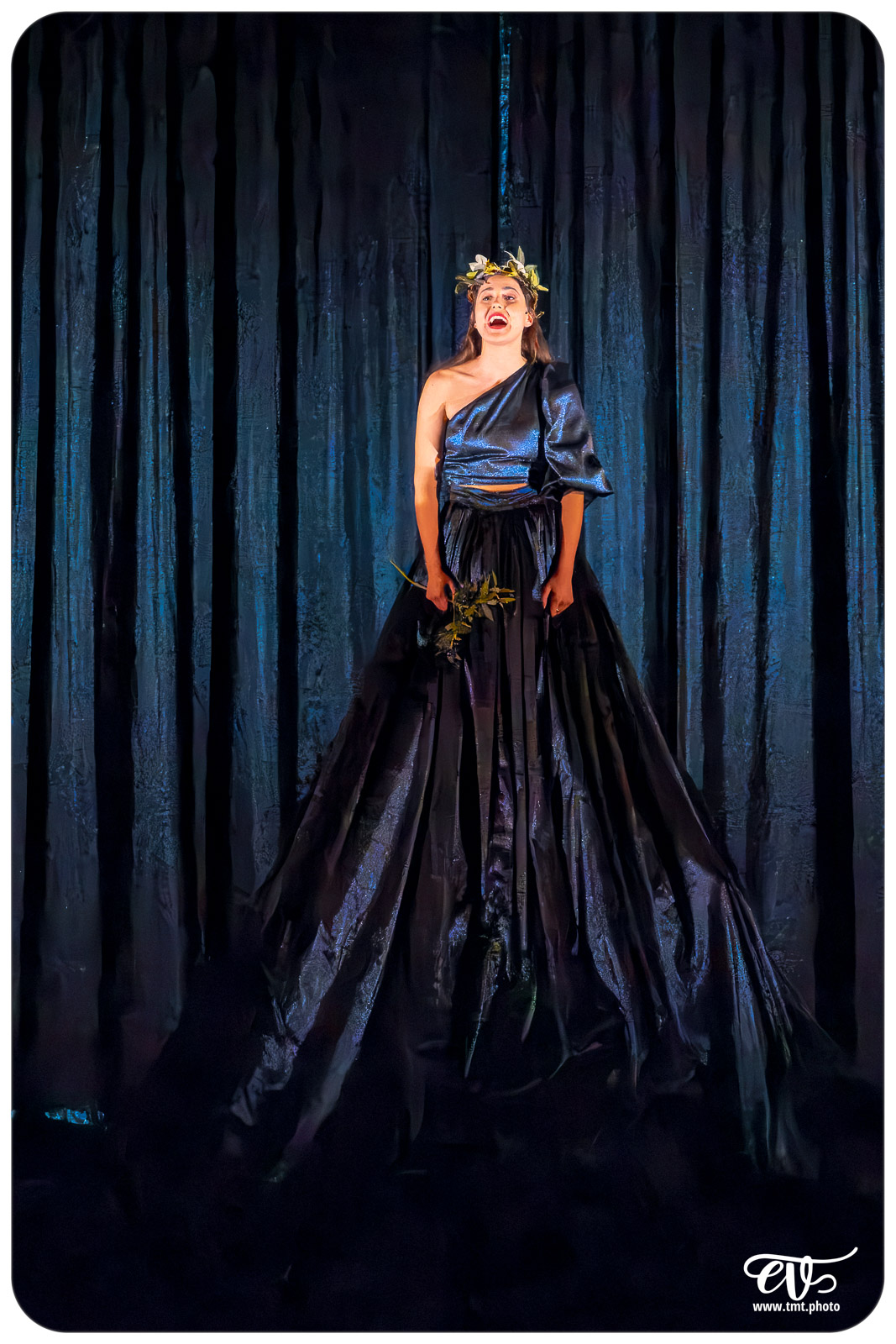 SARKHOLLANDE (COMEDIE IDENTIFAIRE) - CIE LES ANIMAUX EN PARADIS